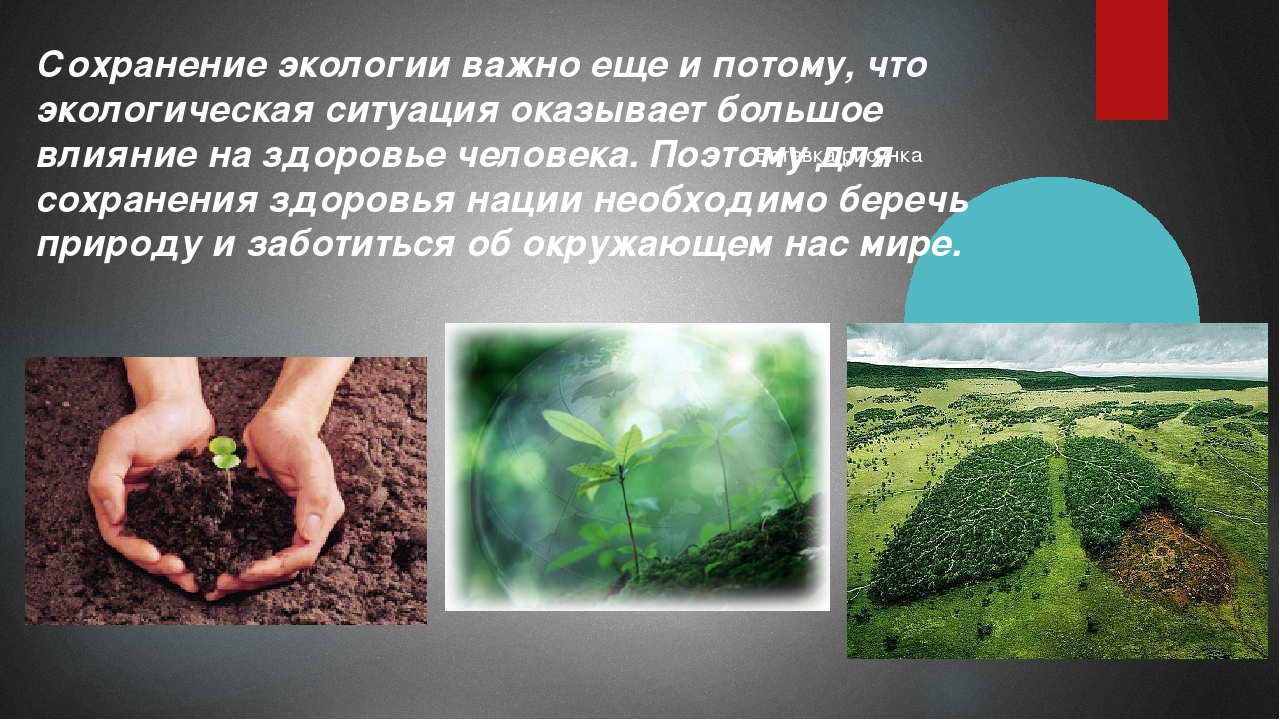 Роль охраны окружающей среды. Экология и охрана природы. Защита экологии. Экология это важно. Природа экология.